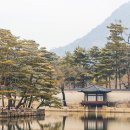 조선 후기 상업 발전과 도시화 과정 분석하기