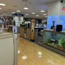 브라운테팔매장 이미지