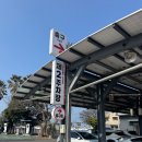 SK렌터카 | 여기어때 티켓 제주올패스 따라 2박 3일 여행 (DAY3) 제주 SK렌터카 후기