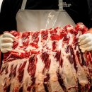 수원-0003 이미지