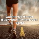 초지V점핑