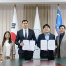 와이즈 스톤