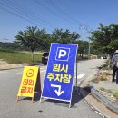 변산마실길에 샤스타데이지