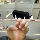 네일슬로 | 탕정 애견동반 네일샵 슬로네일 방문 후기