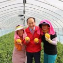 하빈경로당 이미지