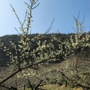 기원농장 이미지