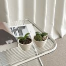 로자리안 이미지