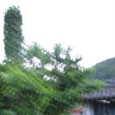 산골별장 이미지