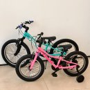 11650-16-20-6 | 트렉 프리칼리버 자전거 16인치 20인치 사이즈 비교 내돈내산 구매 후기