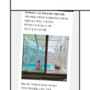 지니키즈독채풀빌라 이미지