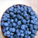 땅골농장 이미지