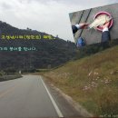 정안 낚시터 이미지