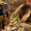 꼬유정