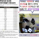 ★ 63% 똑같은 비율로 당선된 가짜국회의원 17명 이미지