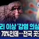 치사율 70프로 질병으로 종말 이미지