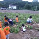 샘솔어린이집 이미지