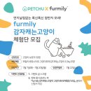 퍼밀리 이미지