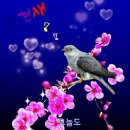 그날에 이미지