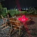 지오 파인트리 이미지