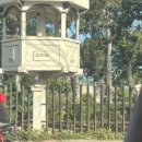 레아네팜 이미지