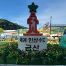 금산군 관광안내소 이미지