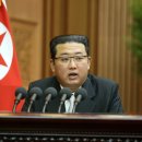 현시기 북한의 대남정책과 이에 대한 대응 대책 이미지