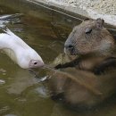 휘트니스 휴 금천점 이미지