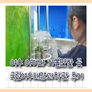 여수 아이와 가볼만한 곳 국립여수해양기상과학관 후기