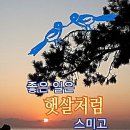 블루쳌