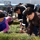 호롱불마을 이미지