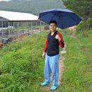 태산농장 1 이미지