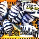 달빛좌대 이미지