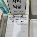 A7 | 순천 러블레싱 캠핑장 A7후기 크리스마스 맞이 텐트 꾸미기