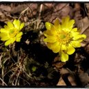 남부전원교회 이미지