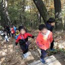 경희대 우리태권도 이미지