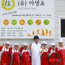 착한김치