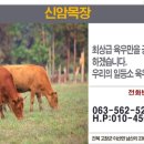 신암목장 네이버블로그
