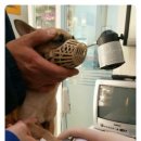 뉴월드 동물병원 이미지