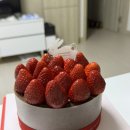 나만 시간이 빠른건가