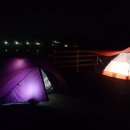 목계숲 2 이미지