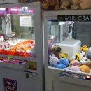 푸쉬푸쉬 인형뽑기 이미지