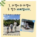 [커뮤니케이션 멘토링] 말에 가치를 더하는 스토리텔링 | &#39;팬을 만드는 비즈니스&#39; 패키지