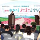 코스모스의원 이미지