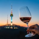 남산금속 | 2026 남산 와인페어 입장권 후기 N서울타워 데이트 코스