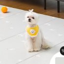 메트로펫 이미지