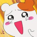 두부두부 이미지