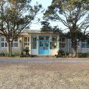 제주영락유치원 | 도시, 살다 16화 - 제주 명월국민학교