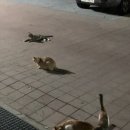석민폰 이미지