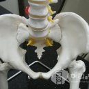 허리인한의원 이미지