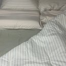 렛츠 고 영어 책놀이(하반기) | 나 이제 뭉게구(9)름 위에 성을 짓고 널 향해 창을 내리 바람 드는 창을
